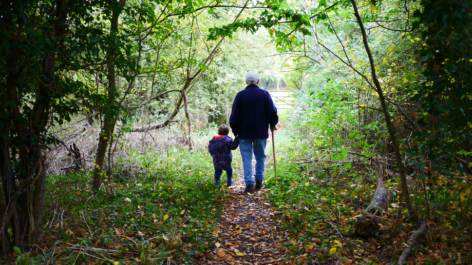 Grandparent Walking with Child on a Forest Path