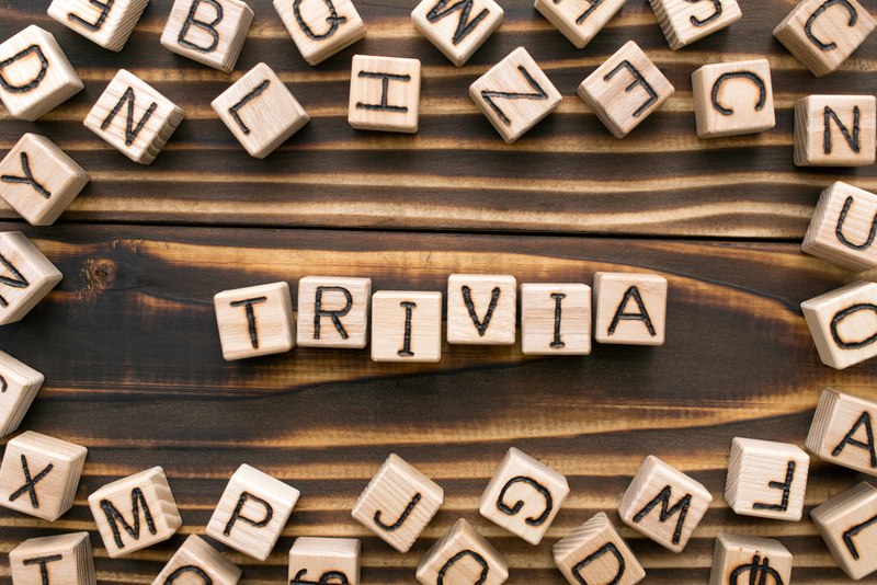 trivia - word from wooden blocks with letters
